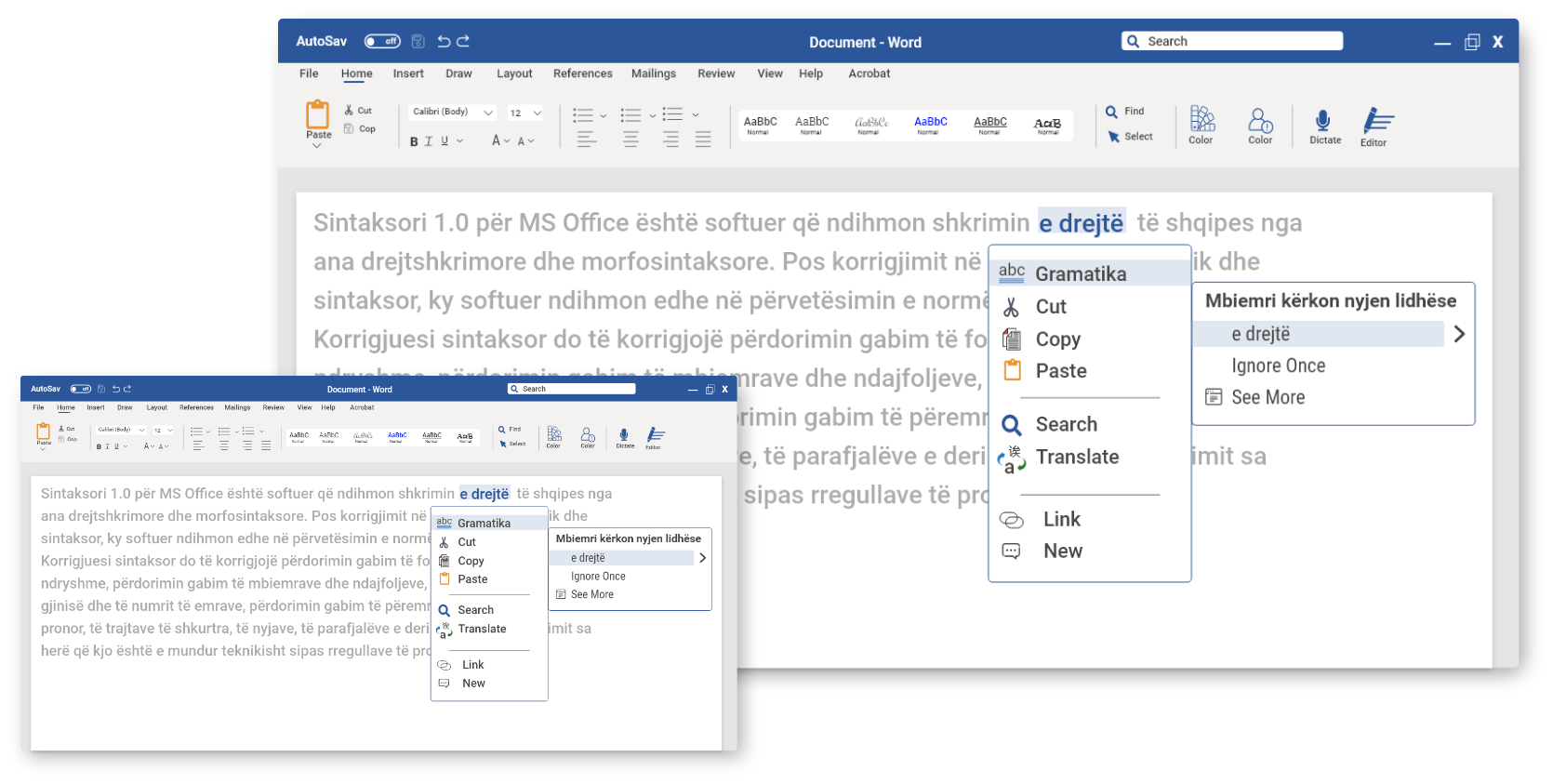 Sintaksori 1.0 për MS Office është softuer që ndihmon shkrimin e drejtë të shqipes nga ana drejtshkrimore dhe morfosintaksore.